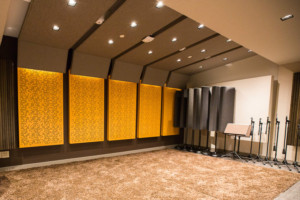 Audible is the world’s largest producer/distributor of downloadable audiobooks and other spoken-word entertainment. WSDG was commissioned to design their new state-of-the-art recording studio complex. Live Room A