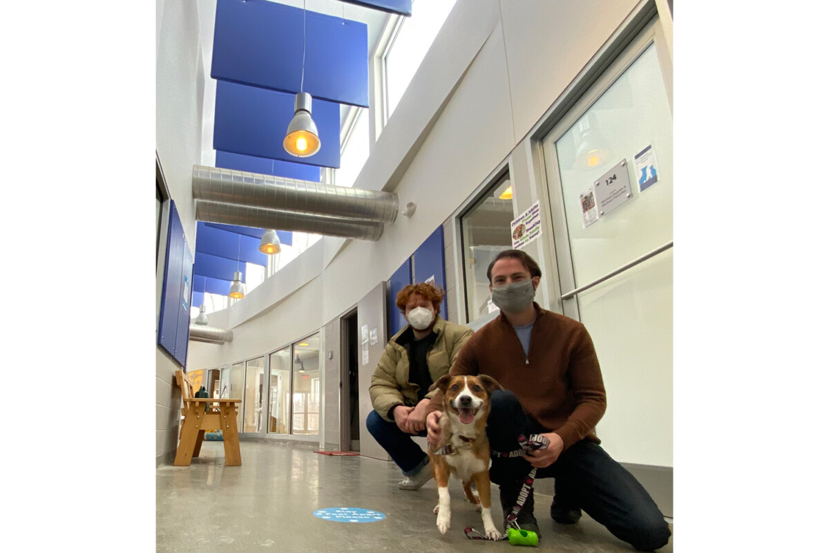 Dutchess County SPCA WSDG