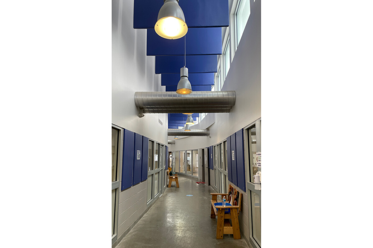 Dutchess County SPCA WSDG