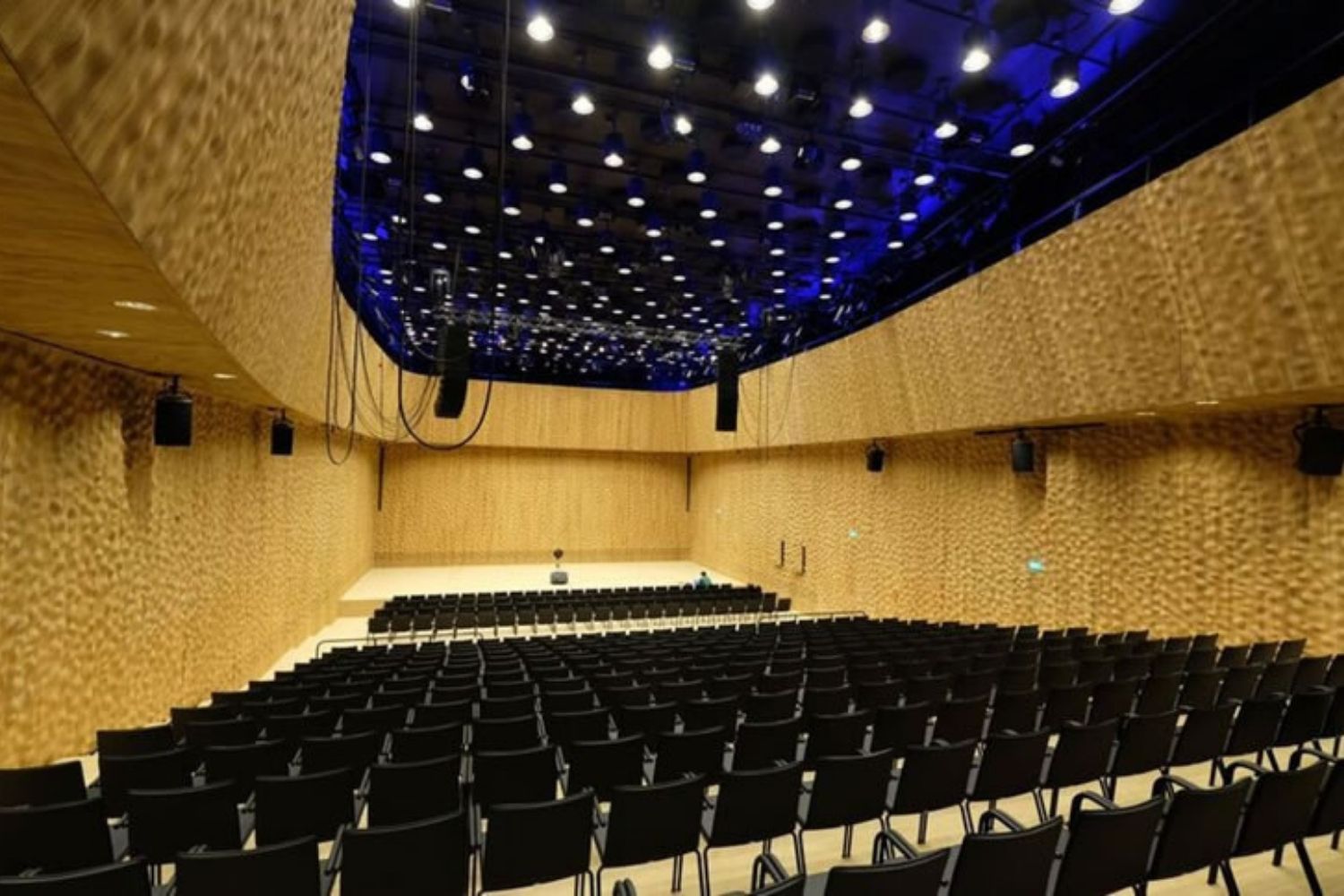 Elbphilharmonie in Hamberg, Germany. Acoustics by WSDG.