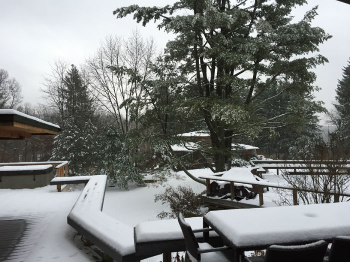 WSDG 2016 Global meeting landscape at snowy and rustic Highland, NY